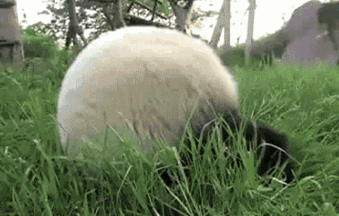 拉松了！聊聊下半年值得期待的国内新赛事pg电子游戏网站这些美食之城也将举办马(图11)